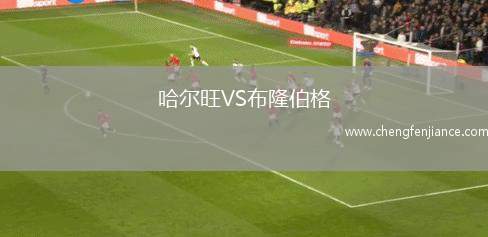 哈尔旺VS布隆伯格